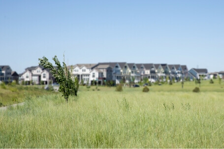 Homes along open green space