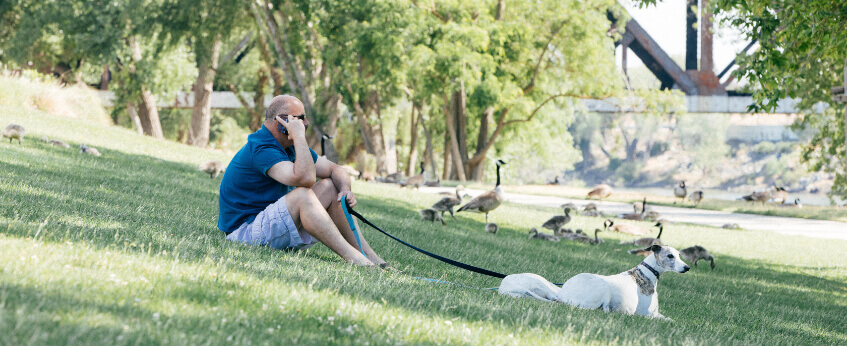 A man on the phone sitting down at the park with his dog